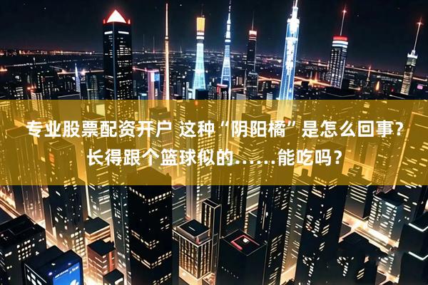 专业股票配资开户 这种“阴阳橘”是怎么回事?长得跟个篮球似的……能吃吗?