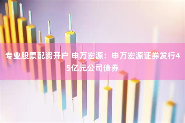 专业股票配资开户 申万宏源：申万宏源证券发行45亿元公司债券