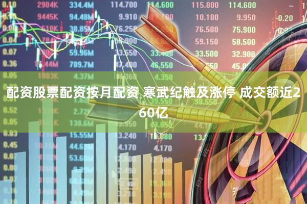 配资股票配资按月配资 寒武纪触及涨停 成交额近260亿