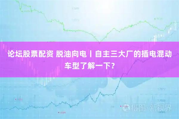 论坛股票配资 脱油向电丨自主三大厂的插电混动车型了解一下？